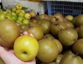 Đây là nguyên nhân vì sao bạn nên mua quả mắc cọp cho cả gia đình ăn ngay hôm nay Đây là nguyên nhân vì sao bạn nên mua quả mắc cọp cho cả gia đình ăn ngay hôm nay