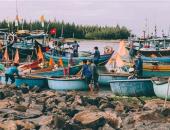 Chiêm ngưỡng vẻ đẹp bình dị của cảng cá Lộc An nhộn nhịp Chiêm ngưỡng vẻ đẹp bình dị của cảng cá Lộc An nhộn nhịp