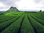 6 điểm du lịch hút hồn du khách ngày hè trên đất Sơn La 6 điểm du lịch hút hồn du khách ngày hè trên đất Sơn La