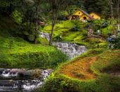 Những chân sút Colombia cừ khôi đến từ đất nước đẹp như tranh vẽ này đây Những chân sút Colombia cừ khôi đến từ đất nước đẹp như tranh vẽ này đây