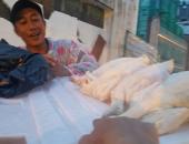 ‘Giải mã’ gà không đầu siêu rẻ tại Việt Nam ‘Giải mã’ gà không đầu siêu rẻ tại Việt Nam