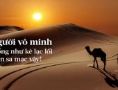 Trên đời này, có một kiểu người còn đáng sợ hơn kẻ ác và tiểu nhân Trên đời này, có một kiểu người còn đáng sợ hơn kẻ ác và tiểu nhân