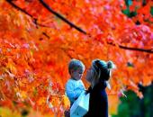 Mê mẩn ngắm những mùa cây thay lá 'long lanh' nhất thế giới Mê mẩn ngắm những mùa cây thay lá 'long lanh' nhất thế giới