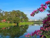 Hình ảnh Đà Lạt đẹp đến nao lòng trong sáng sớm giao mùa khiến ai cũng muốn xách balo lên và đi ngay Hình ảnh Đà Lạt đẹp đến nao lòng trong sáng sớm giao mùa khiến ai cũng muốn xách balo lên và đi ngay