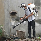 45 ngày có 1.300 ca sốt xuất huyết 