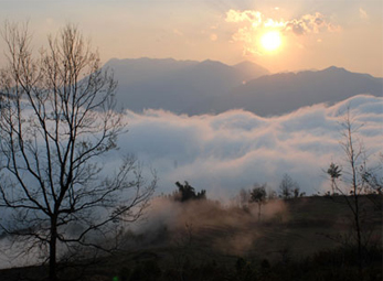 Y Tý huyền ảo trong sương