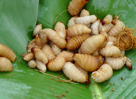 duong-dua1.jpg duong-dua1.jpg