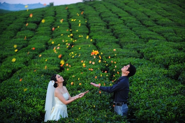 Thiên đường tình yêu cho mùa Valentine tại Mộc Châu
