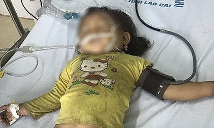 Trên đường đi học về, bé gái 3 tuổi bị ong đốt tử vong Trên đường đi học về, bé gái 3 tuổi bị ong đốt tử vong