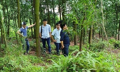 Phó chủ tịch xã tử vong bất thường trong rừng Phó chủ tịch xã tử vong bất thường trong rừng