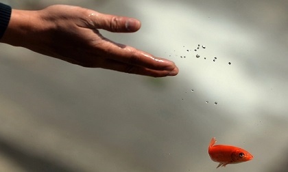 Muốn tiêu trừ nghiệp chướng chỉ cần làm 4 việc sau, việc đầu tiên tuyệt đối không được cẩu thả Muốn tiêu trừ nghiệp chướng chỉ cần làm 4 việc sau, việc đầu tiên tuyệt đối không được cẩu thả