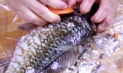 Thấy 3 loại cá này ở chợ nhớ né ngay, rẻ mấy cũng không mua: Loại số 3 nhiều bà nội trợ rất thích!