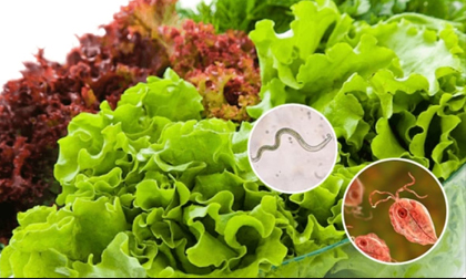 11 loại rau dễ bị nhiễm sán lá gan, bán đầy ngoài chợ Việt, giá chỉ từ 5.000 đồng