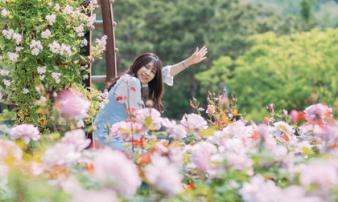 Tiết lộ 5 cung Hoàng đạo có cuộc sống hoàn hảo, đáng mong chờ nhất trong nửa cuối năm 2017 Tiết lộ 5 cung Hoàng đạo có cuộc sống hoàn hảo, đáng mong chờ nhất trong nửa cuối năm 2017
