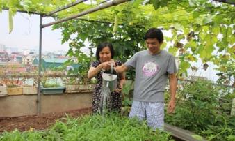 'Soái ca' Hà thành chiều vợ, phá mái tôn để trồng rau, nuôi gà 'Soái ca' Hà thành chiều vợ, phá mái tôn để trồng rau, nuôi gà