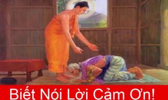 Có một câu nói mà trong đời bất cứ ai cũng cần phải học - không học uổng phí một đời người Có một câu nói mà trong đời bất cứ ai cũng cần phải học - không học uổng phí một đời người