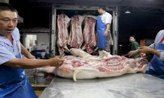 Khủng hoảng thịt lợn có thể sẽ trở lại Khủng hoảng thịt lợn có thể sẽ trở lại