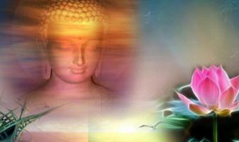 Phật dạy: “Bồ tát sợ nhân, chúng sinh sợ quả” hành động của mỗi người tốt hay xấu đều có luật nhân quả Phật dạy: “Bồ tát sợ nhân, chúng sinh sợ quả” hành động của mỗi người tốt hay xấu đều có luật nhân quả