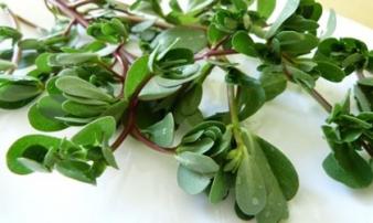 Những loại rau bà bầu không nên ăn để tránh sảy thai, sinh non Những loại rau bà bầu không nên ăn để tránh sảy thai, sinh non