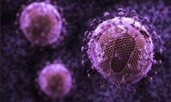 Tìm ra kháng thể mới tiêu diệt được 99% virus HIV Tìm ra kháng thể mới tiêu diệt được 99% virus HIV