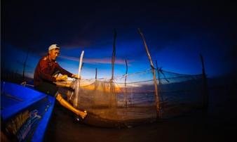 Những hình ảnh tuyệt đẹp về mưu sinh mùa nước nổi ở miền Tây Những hình ảnh tuyệt đẹp về mưu sinh mùa nước nổi ở miền Tây