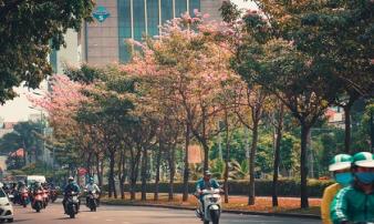 Không ngờ giữa Sài Gòn lại có những con đường hoa đẹp đến thế này! Không ngờ giữa Sài Gòn lại có những con đường hoa đẹp đến thế này!