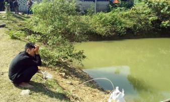Ba bé trai chết đuối thương tâm dưới ao cá Ba bé trai chết đuối thương tâm dưới ao cá