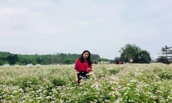 Lạc bước ở vườn hoa tam giác mạch đầu tiên ở miền Tây xứ Nghệ Lạc bước ở vườn hoa tam giác mạch đầu tiên ở miền Tây xứ Nghệ