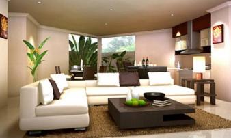 Những cây hút tiền, sinh lộc… có thể gây sưng họng, nghẹt thở Những cây hút tiền, sinh lộc… có thể gây sưng họng, nghẹt thở