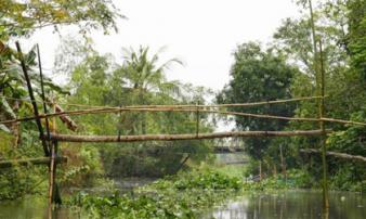 Cầu khỉ Việt Nam nằm trong top 15 cây cầu đáng sợ nhất thế giới Cầu khỉ Việt Nam nằm trong top 15 cây cầu đáng sợ nhất thế giới