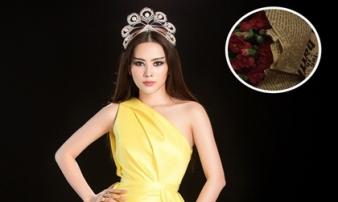 Tặng sinh nhật Trường Giang bằng bó hoa Cẩm Chướng, Nam Em định nhắn nhủ gì đây? Tặng sinh nhật Trường Giang bằng bó hoa Cẩm Chướng, Nam Em định nhắn nhủ gì đây?
