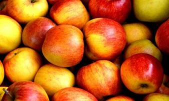 Thích ăn táo nhất định phải nắm rõ cách ăn tốt nhất để tăng gấp đôi công dụng Thích ăn táo nhất định phải nắm rõ cách ăn tốt nhất để tăng gấp đôi công dụng