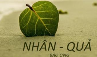 Nhân quả luân hồi trên đời có thật hay không? Nhân quả luân hồi trên đời có thật hay không?