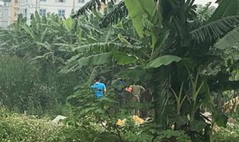 Bàng hoàng phát hiện thi thể trong bụi chuối gần sân vận động Mỹ Đình Bàng hoàng phát hiện thi thể trong bụi chuối gần sân vận động Mỹ Đình