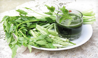 20 công dụng chữa bệnh thần kì của rau cần 20 công dụng chữa bệnh thần kì của rau cần
