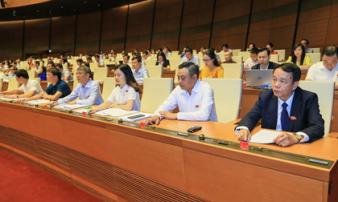 Gần 87% đại biểu Quốc hội tán thành thông qua Luật An ninh mạng Gần 87% đại biểu Quốc hội tán thành thông qua Luật An ninh mạng