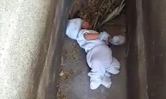 Nghe tiếng khóc trong nghĩa trang, người dân đi tìm phát hiện cảnh tượng kinh hoàng Nghe tiếng khóc trong nghĩa trang, người dân đi tìm phát hiện cảnh tượng kinh hoàng