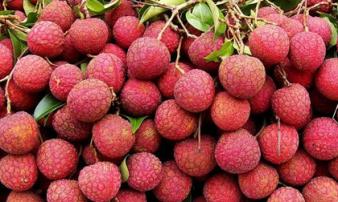 Quy tắc ăn vải tuyệt đối an toàn, không nóng hay ngộ độc, điều số 2 ai cũng bất ngờ Quy tắc ăn vải tuyệt đối an toàn, không nóng hay ngộ độc, điều số 2 ai cũng bất ngờ