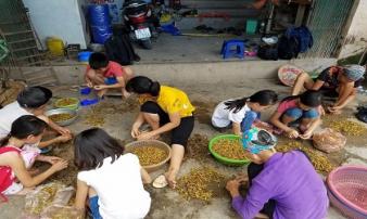 Thu tiền triệu mùa World Cup nhờ… châu chấu Thu tiền triệu mùa World Cup nhờ… châu chấu