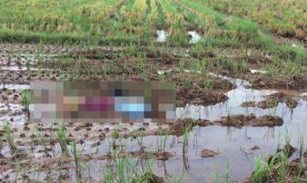 Phát hiện người phụ nữ tử vong giữa cánh đồng vắng Phát hiện người phụ nữ tử vong giữa cánh đồng vắng