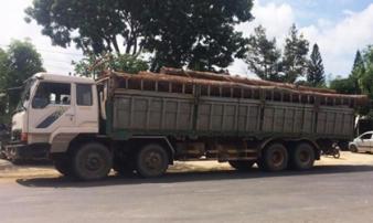 Vụ bắt trùm gỗ Phượng “râu”: Khởi tố và truy nã thêm 2 đối tượng Vụ bắt trùm gỗ Phượng “râu”: Khởi tố và truy nã thêm 2 đối tượng