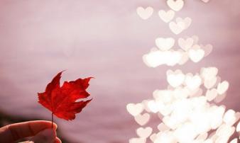 Tử vi thứ 5 ngày 12/7/2018 của 12 con giáp Tử vi thứ 5 ngày 12/7/2018 của 12 con giáp