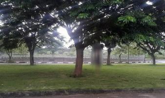 Hải Dương: Nghi vấn nam thanh niên treo cổ tự tử Hải Dương: Nghi vấn nam thanh niên treo cổ tự tử