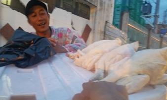 ‘Giải mã’ gà không đầu siêu rẻ tại Việt Nam ‘Giải mã’ gà không đầu siêu rẻ tại Việt Nam