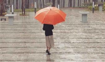 Đà Lạt mùa mưa say đắm một ngày, cả đời thương nhớ Đà Lạt mùa mưa say đắm một ngày, cả đời thương nhớ