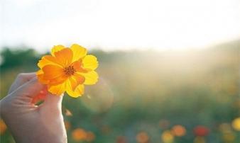 Muốn cả đời hưởng may mắn, bình an, giàu có, trong lòng chỉ cần ghi nhớ điều này là đủ Muốn cả đời hưởng may mắn, bình an, giàu có, trong lòng chỉ cần ghi nhớ điều này là đủ