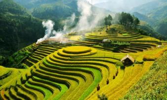 5 điểm săn lúa chín không bỏ lỡ ở Mù Cang Chải 5 điểm săn lúa chín không bỏ lỡ ở Mù Cang Chải