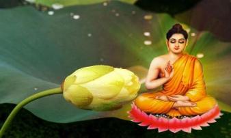 7 bài học Phật dạy cần ghi nhớ để được hưởng Phúc Đức muôn đời 7 bài học Phật dạy cần ghi nhớ để được hưởng Phúc Đức muôn đời