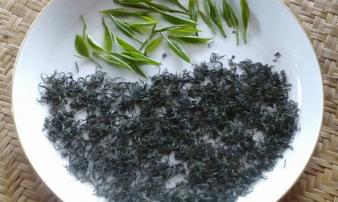 'Trà quý tộc': 1kg được làm từ 3 sào chè trên 5 năm tuổi 'Trà quý tộc': 1kg được làm từ 3 sào chè trên 5 năm tuổi