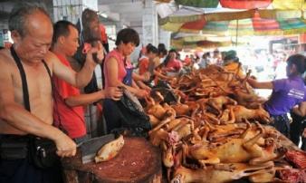 Vì sao “kinh đô thịt chó” Nhật Tân biến mất khi đang thịnh vượng? Vì sao “kinh đô thịt chó” Nhật Tân biến mất khi đang thịnh vượng?